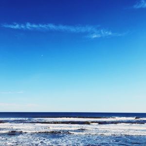 Meet your Posher, Rosey